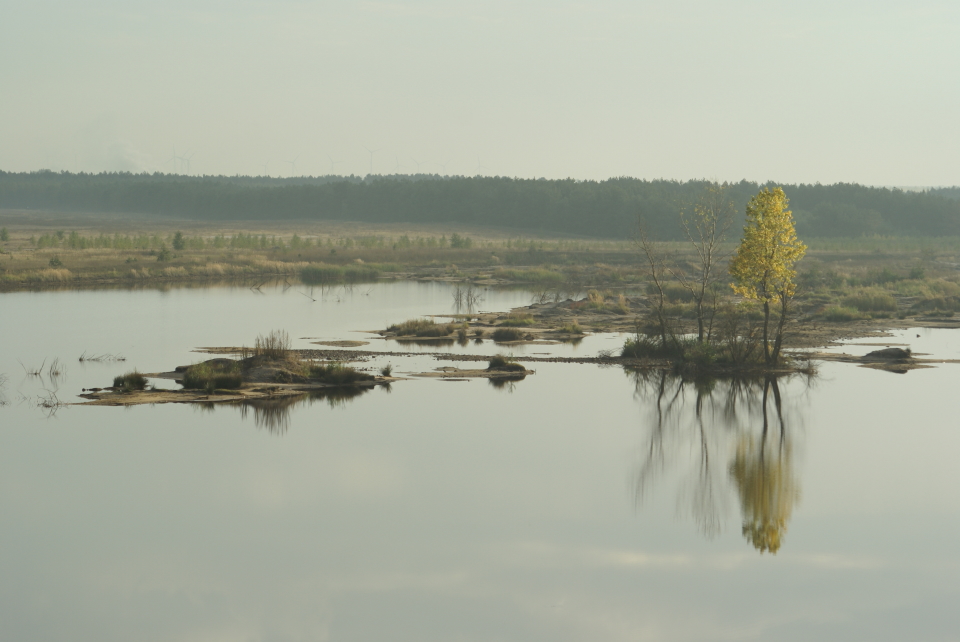 Rutschung Tagebau Spreetal Bergener See Aussichtspunkt Naturschutzgroßprojekt